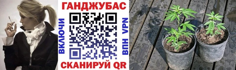 МАРИХУАНА Солигалич