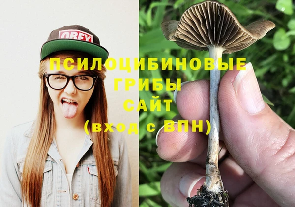 эйфоретик Дмитров