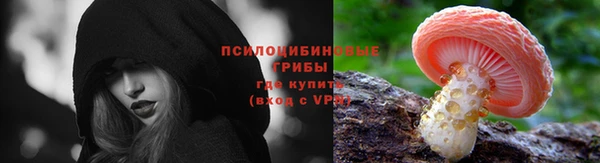 кокс Гусь-Хрустальный